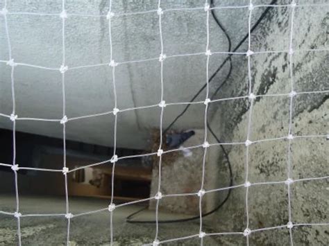 Wire Mesh - Plastic Wire Mesh Service Provider from Vadodara