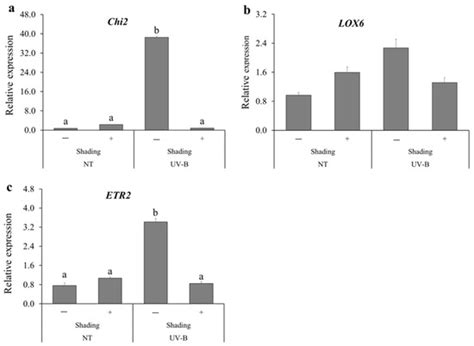 Ultraviolet-B Irradiation Induces Resistance against Powdery Mildew in ...