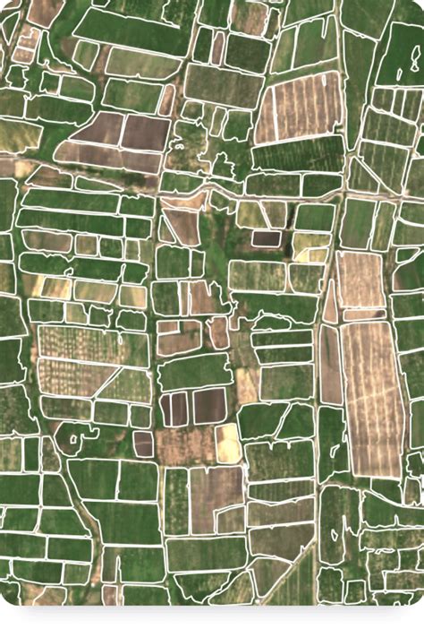 Image result for DigiFarm Coverage Map