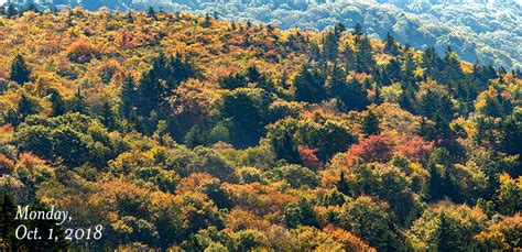 Image result for String Arts Patterns Color