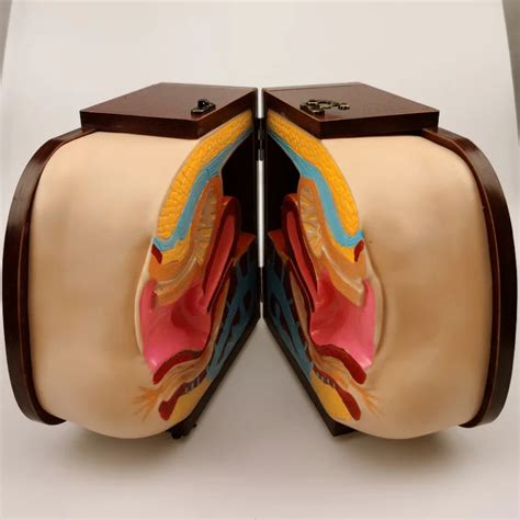 Image result for UID Family Planning