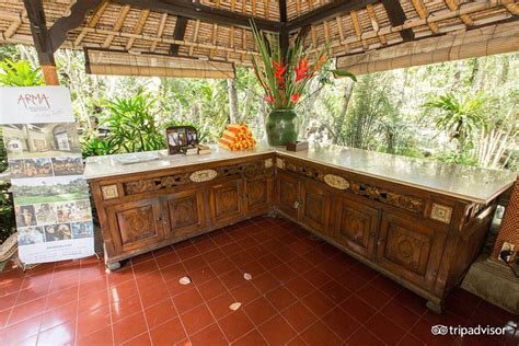 Arma Museum & Resort Pool: Pictures & Reviews - Tripadvisor
