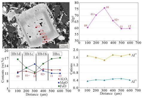Hornblende and Plagioclase Micro-Texture and Compositions: Evidence for ...