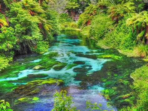 City Of Blue Springs Water / Callaway Blue Spring Water - Grocery ...