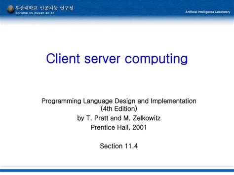 Image result for Client and Server Computing with SQL and API
