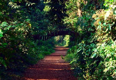 Junput Tour | Best Weekend Trip in Kolkata