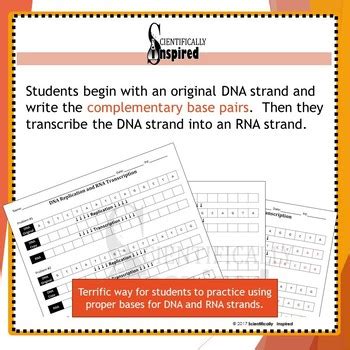 Image result for DNA Simulation Worksheet