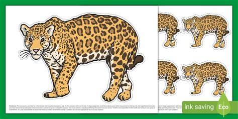Jaguar Animal Display Cut-Out (teacher made) - Twinkl