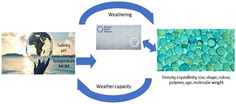 The Dual Role of Microplastics in Marine Environment: Sink and Vectors ...