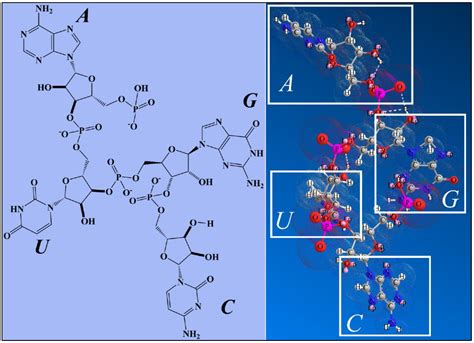 Physical and Methodological Perspectives on the Optical Properties of ...