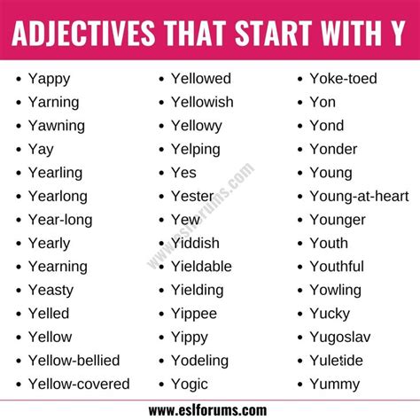 Common Words That Start With Y