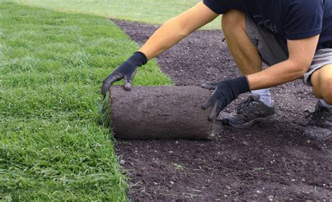 How to Lay Sod - One Step at a Time - Duda Sod