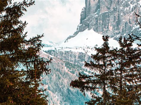 Download wallpaper 1400x1050 forest, trees, mountains, snow, landscape ...