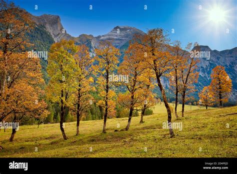 Image result for Simple CNN Example
