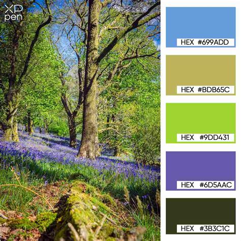 Nature Color 的图像结果