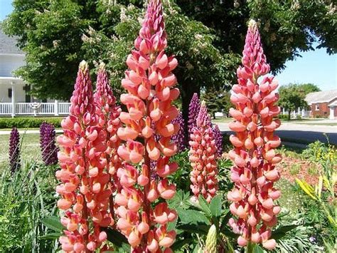 THE STATE STREET INN (Harbor Beach) - Hostel Reviews & Photos - Tripadvisor