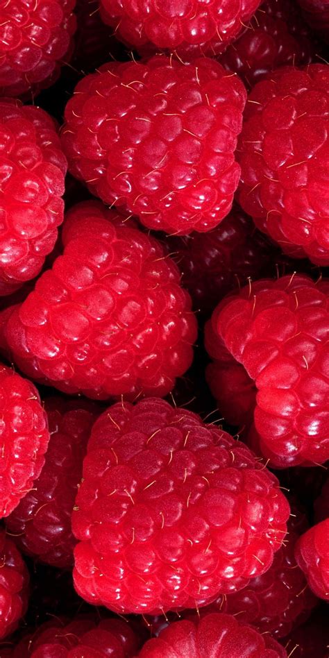 Image result for Raspberry Color Background HD