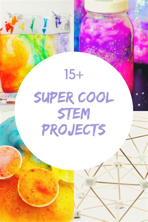Projects for Stem 的图像结果