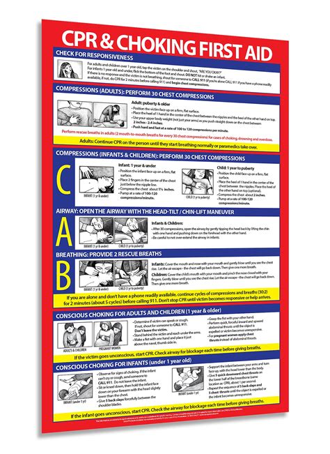 Buy CPR and Choking - Laminated, 12 x 18 Inches - Heimlich Maneuver and ...