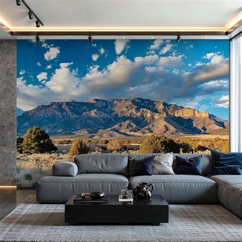 Prxcm Peel and Stick Canvas Wallpaper southwestern landscape sandia mountains snowcapped Art ...