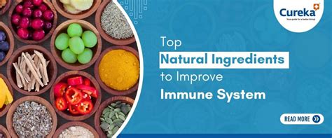 Top Natural Ingredients to Boost Immune System