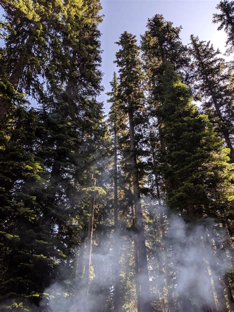 Eureka Montana Campgrounds: Find Your Perfect Spot