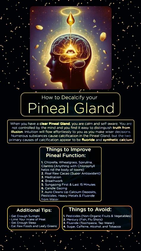 Best 13 How to Activate the Pineal Gland – 6 Powerful Techniques – Artofit