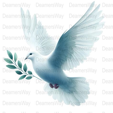 10 Dove Digital Clipart, Dove Illustration, Instant Download, High Quality Transparent Png and ...
