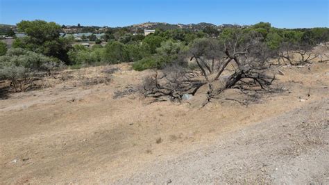 Paso Robles CA: Fires in Salinas River riverbed decrease | San Luis ...