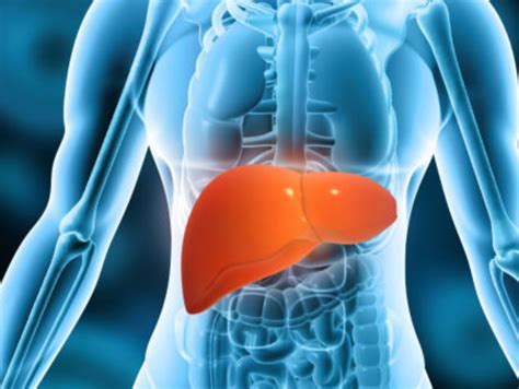 World Liver Day: "How do I know if my liver is unhealthy?" Warning ...