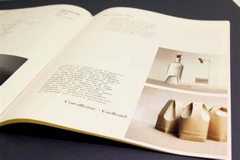 Visual Essay Example 的图像结果