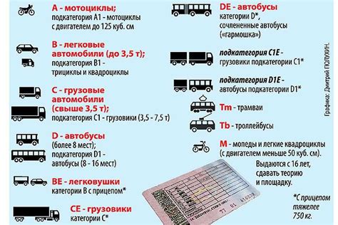 Категории водительских прав 2020 года с расшифровкой: таблица