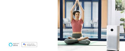 Mi Air Purifier 3 with True HEPA Filter, removes air pollutants, smoke ...