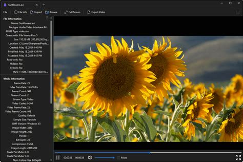 Image result for File Viewer Plus