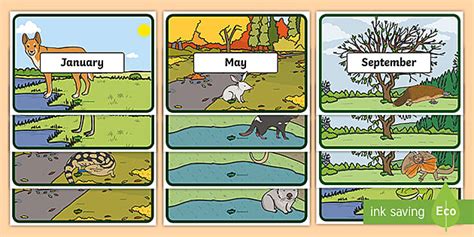SA Australian Animals Months of the Year and Seasons Display Posters