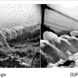 Image result for Median Filter Image Processing