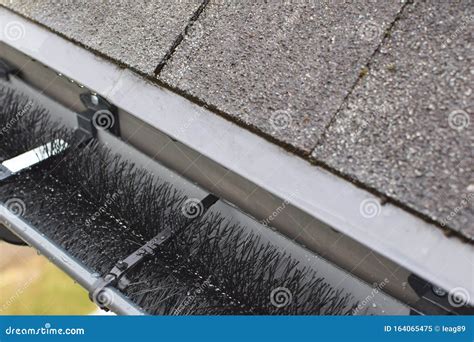 Plastic Guard Brush in Grey Plastic Rain Gutter on Asphalt Shingles ...