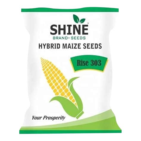 Maize Rise 303 Hybrid - Shine Brand Seeds – BharatAgri Krushi Dukan