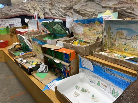 Ecosystem Project 的图像结果