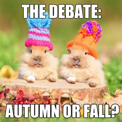 These 12 Fantastic Fall Memes Will Have You Smiling