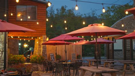 Image result for The Springfields Live