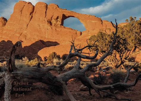 Arches National Park Skyline Arch Premium Quality 1000 Piece Jigsaw ...