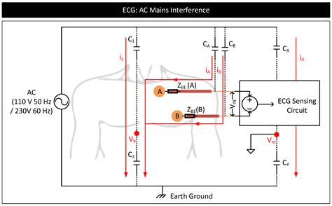 Human Body–Electrode Interfaces for Wide-Frequency Sensing and ...