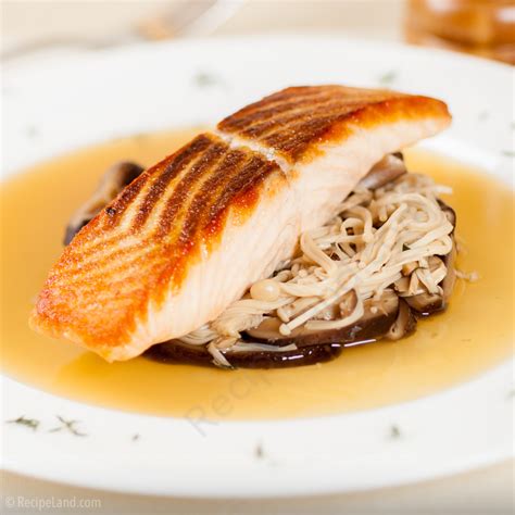 Internal Salmon Temperature: When is salmon done?