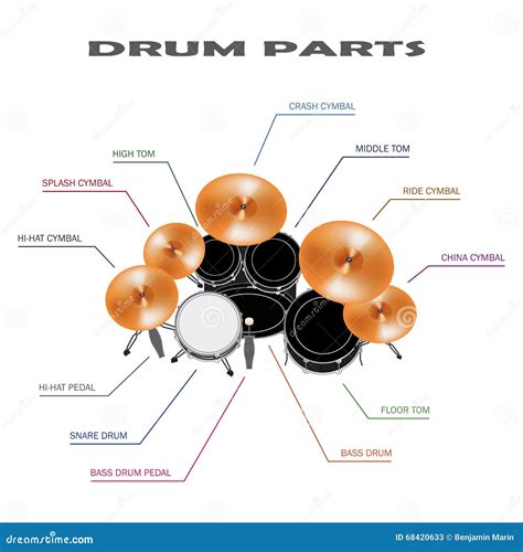 Functions Of Parts Of A Drum at Kelli Johnson blog