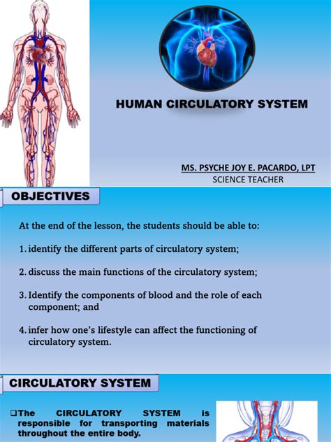 Image result for Circulatory System Tutorial