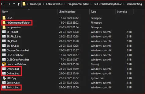 Image result for RDR2 Local Files