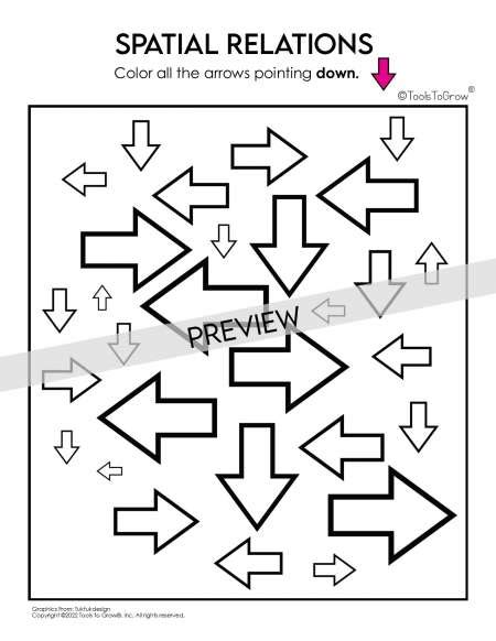 Image result for Visual Spatial Activity