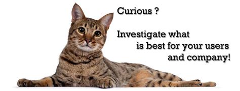 Image result for WinForms Data Visualization