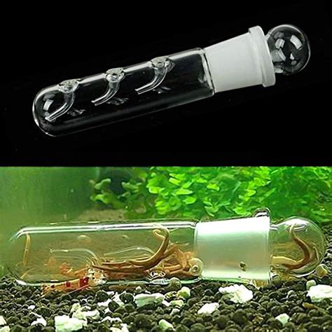 Ailindany Aquarium Supplies Clear Glass Planaria Trap Catch Trap For ...